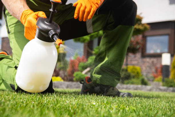 Best Mosquito Control Services  in Kearns, UT