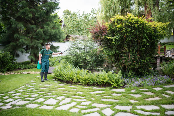 Best Cockroach Control Services  in Kearns, UT