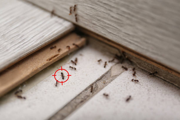Kearns, UT Pest Control Company